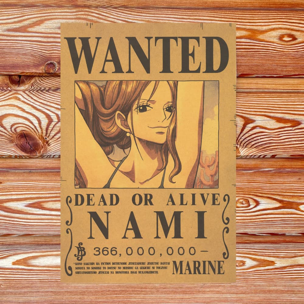 Affiche wanted Nami 366 millions de Berry ONE PIECE